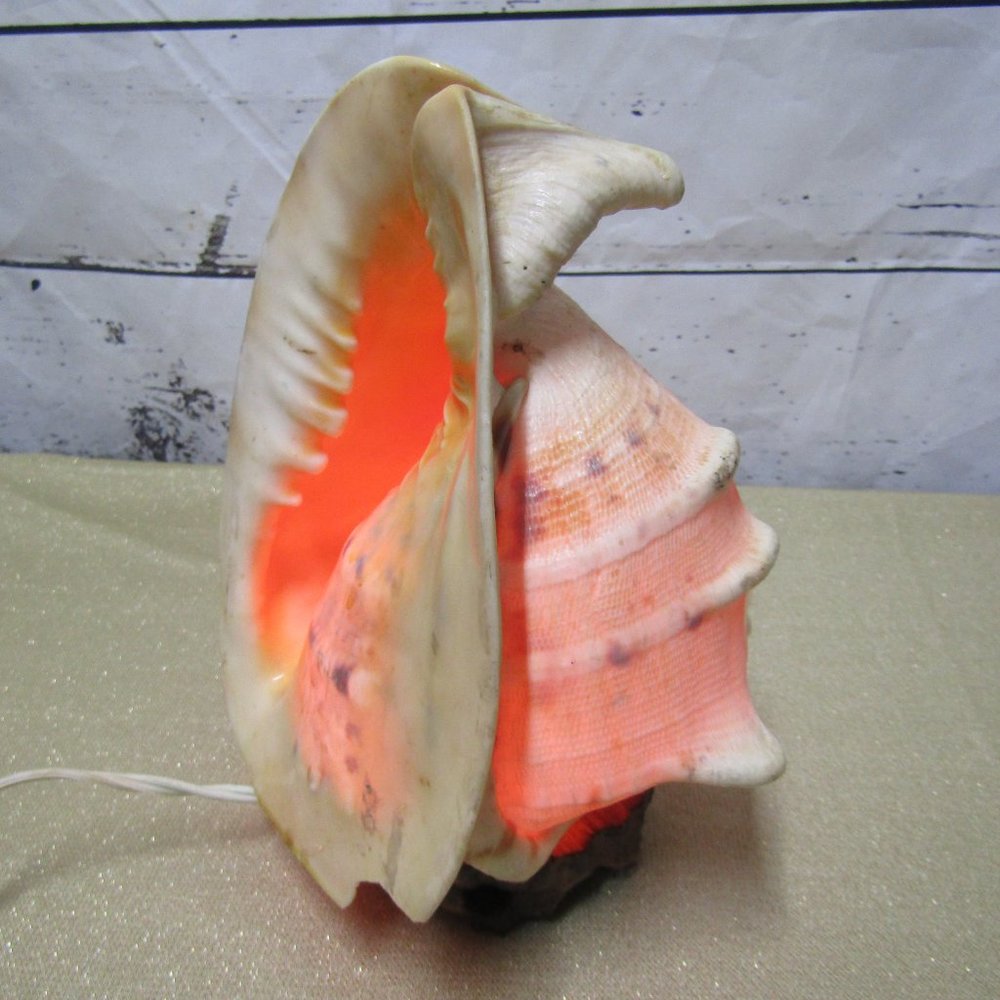 Conch Shell Night Light Lamp
